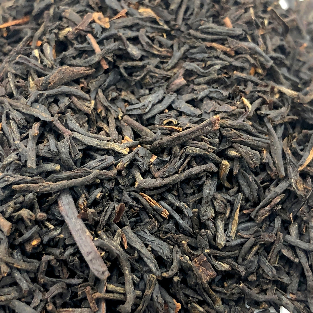 Conte grigio