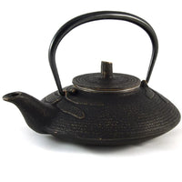 Dragonfly Tea Kettle